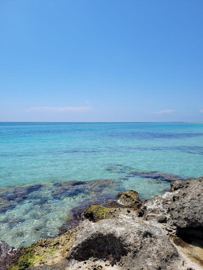 Appartamento Eleni 50M Spiaggia & Shopping Lido Marini Esterno foto